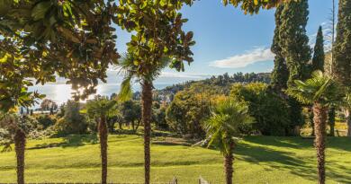 Экскурсии в `город Пицунда, Абхазия` из Каткова Щели